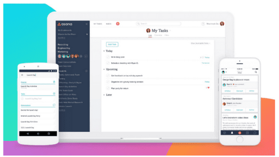 Asana dashboard